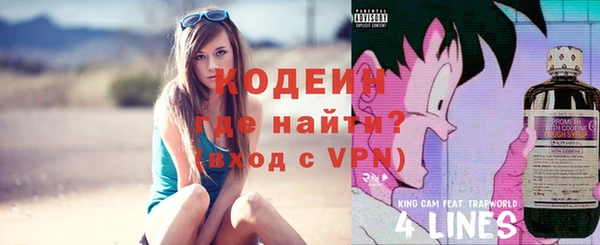 спиды Лагань