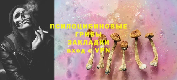 спиды Лагань
