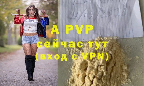 спиды Лагань