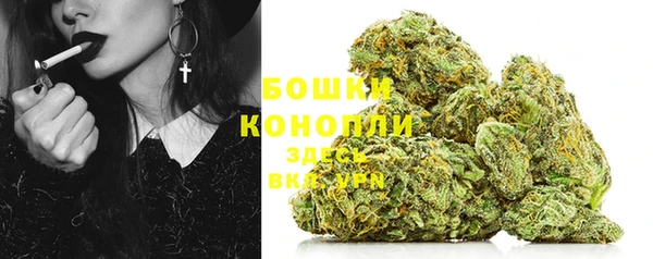 прущие грибы Краснотурьинск