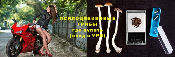меф Ладушкин