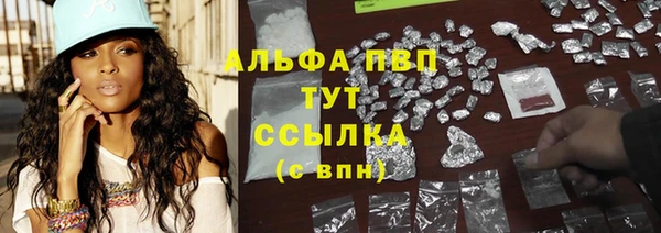 спиды Лагань