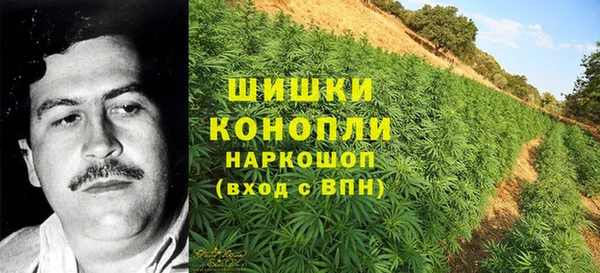 меф Ладушкин