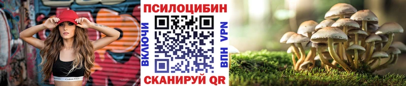 Галлюциногенные грибы MAGIC MUSHROOMS  KRAKEN как войти  Красково 